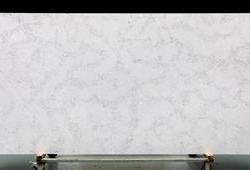 Carrara Dove